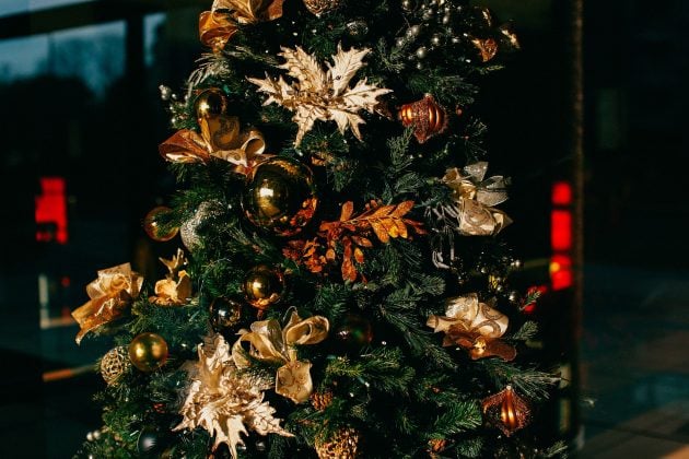 Можнo ли ставить елки на Рождество?